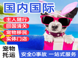 黑河瑷珲航空邮寄国际宠物托运 【国